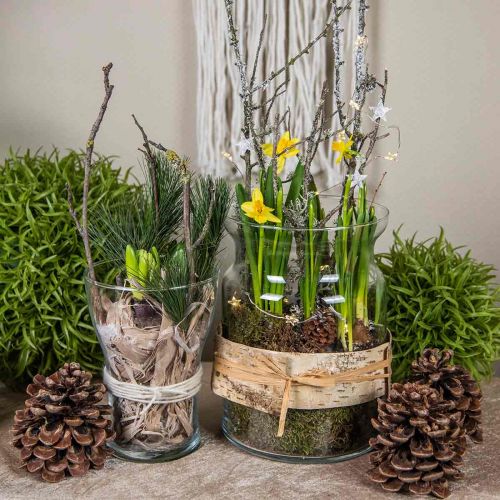 Floristik24 Üvegváza átlátszó dekoratív váza üveglámpás virágváza Ø18cm H25cm