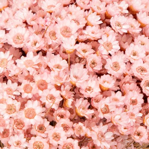 tételeket Dekoratív virágcsokor, ideális tavaszra, húsvétra és ünnepi alkalmakra, 44 cm