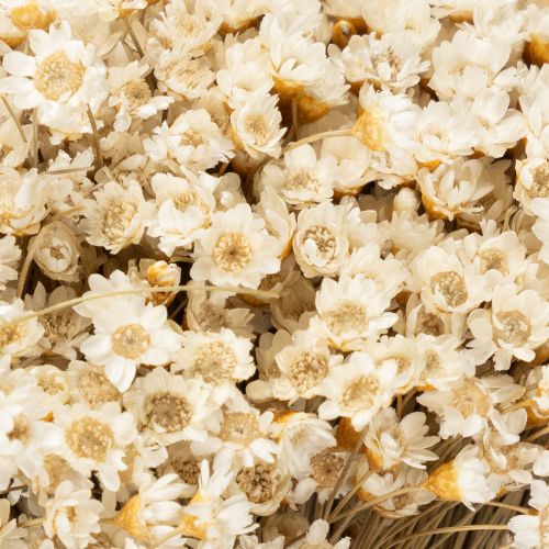 tételeket Szárított virágcsokor, finom virágok természetes lakberendezési tárgyakhoz, 44 cm