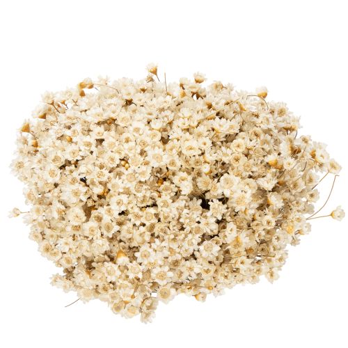 tételeket Szárított virágcsokor, finom virágok természetes lakberendezési tárgyakhoz, 44 cm