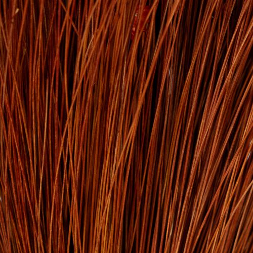 tételeket Szárított virágcsokor, bájos kiegészítője vázáknak vagy virágkompozícióknak, 44 cm