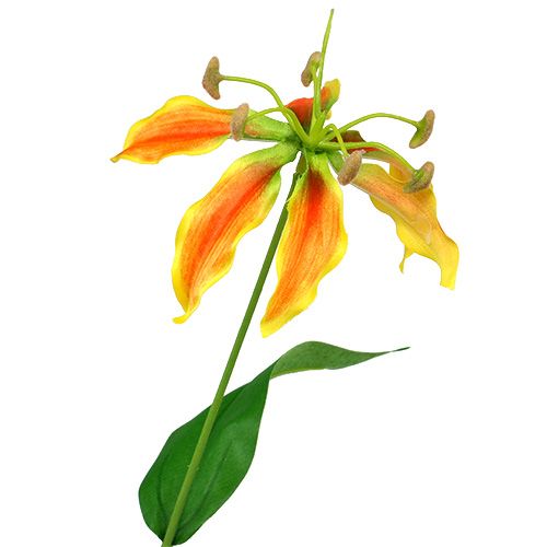 Floristik24 Gloriosa ág narancssárga 90cm 1db