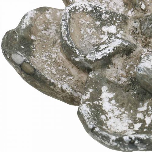 Floristik24 Sírdísz, betondísz, kertdísz, betonrózsa Ø15,5cm