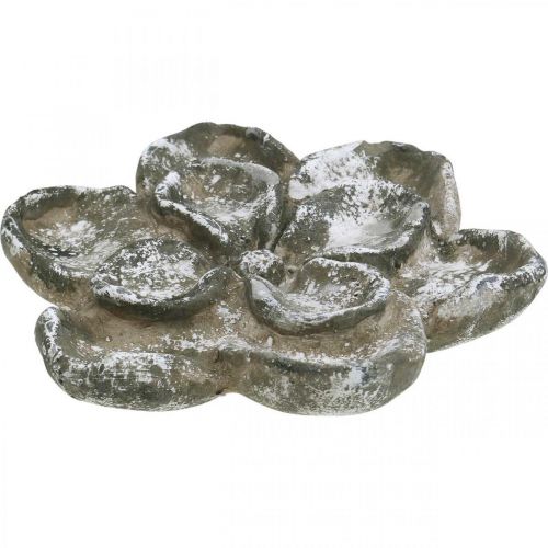 Floristik24 Sírdísz, betondísz, kertdísz, betonrózsa Ø21cm