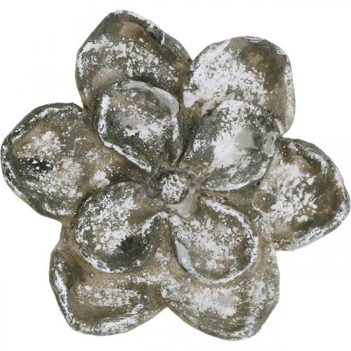 Floristik24 Sírdísz, betondísz, kertdísz, betonrózsa Ø21cm