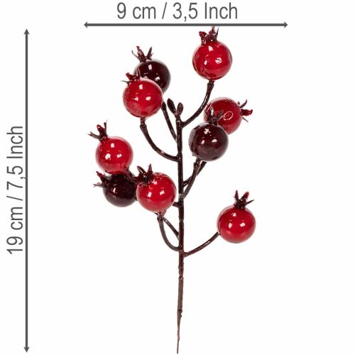 Mű gránátalmaág elágazó szárakkal vázadíszként, 19 cm, 4 darab | Floristik24.hu