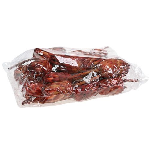 tételeket Grandiceps piros 25 db