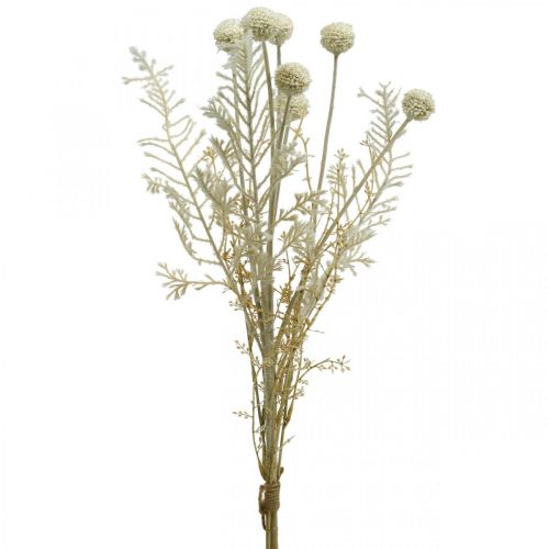 Floristik24 Száraz fű műpampa fű allium krém, bézs H60cm