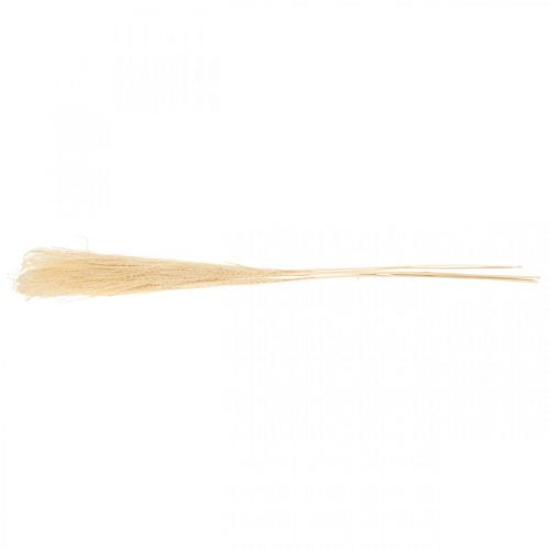 Floristik24 Szárított díszfű natúr díszfű száraz dekoráció 6 szár