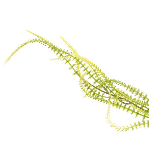 tételeket Zöld sörtéjű köles műnövény elegáns függődekorációhoz, stílusos szobai kiegészítőkhöz, 114 cm
