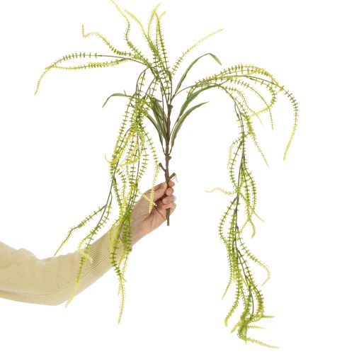 tételeket Zöld sörtéjű köles műnövény elegáns függődekorációhoz, stílusos szobai kiegészítőkhöz, 114 cm