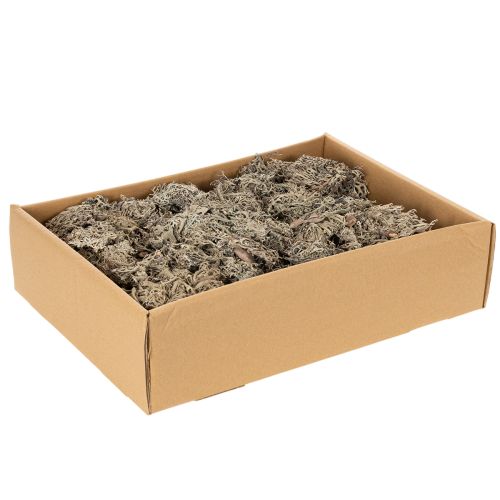 Dekoratív moha, szürke moha kézműveskedéshez, 500g | Floristik24.hu
