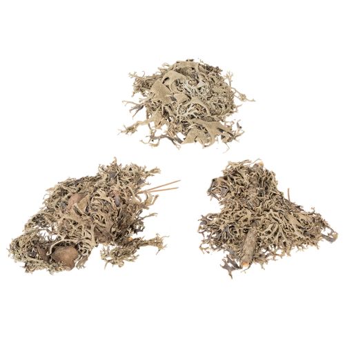 Dekoratív moha, szürke moha kézműveskedéshez, 500g | Floristik24.hu