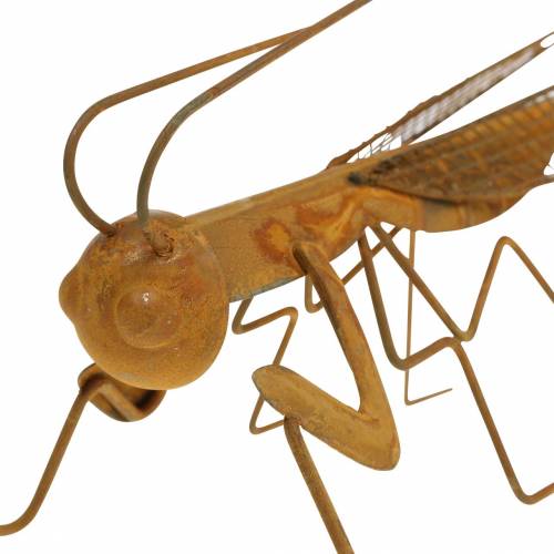 Floristik24 Kerti dekorációs rács rozsdamentes fém 14,5cm