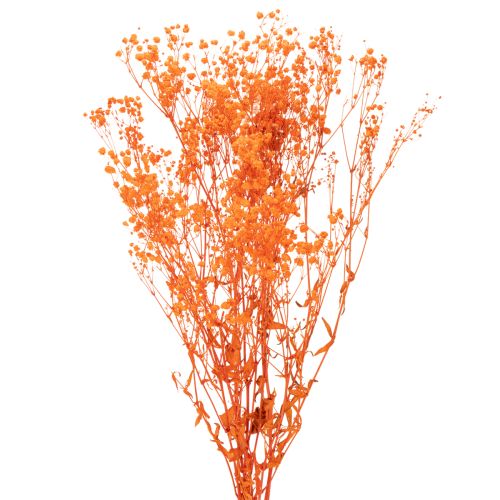 Baba lehelet szárított virágcsokor Gypsophila 75cm 100g vétel | Floristik24.hu