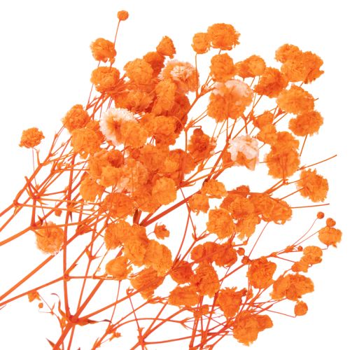 Baba lehelet szárított virágcsokor Gypsophila 75cm 100g | Floristik24.hu