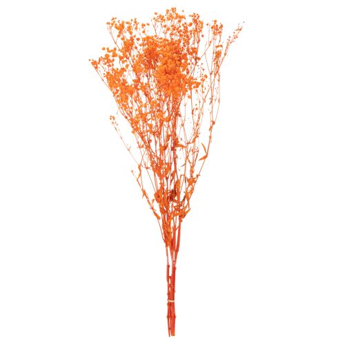 Baba lehelet szárított virágcsokor Gypsophila 75cm 100g | Floristik24.hu