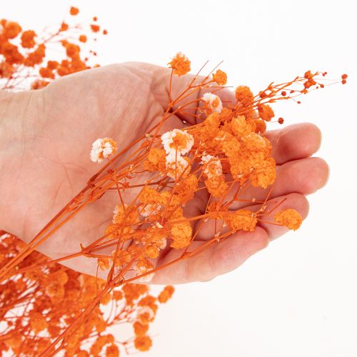 Baba lehelet szárított virágcsokor Gypsophila 75cm 100g | Floristik24.hu
