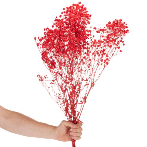 Szárított babalevelet (Gypsophila) csokor 75cm 100g | Floristik24.hu