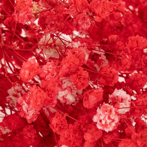 Szárított babalevelet (Gypsophila) csokor 75cm 100g | Floristik24.hu