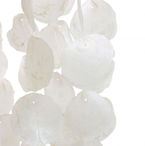 Floristik24 Függő dekorációs kagylók Capiz szélcsengő dekoráció Ø29cm 185cm