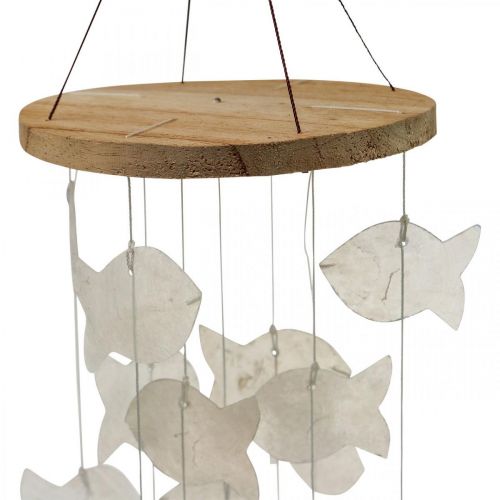 Floristik24 Függő dekorációs kagylók Capiz szélcsengő kert Ø12cm L49cm