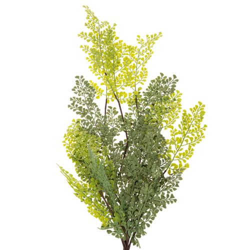 Műpáfrányág, finom, vázába, 80cm | Floristik24.hu