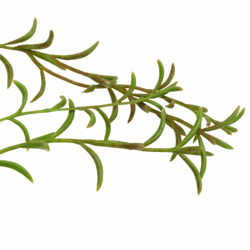 Floristik24 Korallkaktusz mesterséges Rhipsalis akasztó 90cm