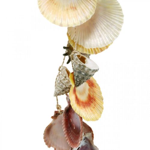 Floristik24 Kókuszos tál héjjal, natúr növényi tál, kókusz akasztókosárként Ø13,5/11,5cm, 2db-os készlet