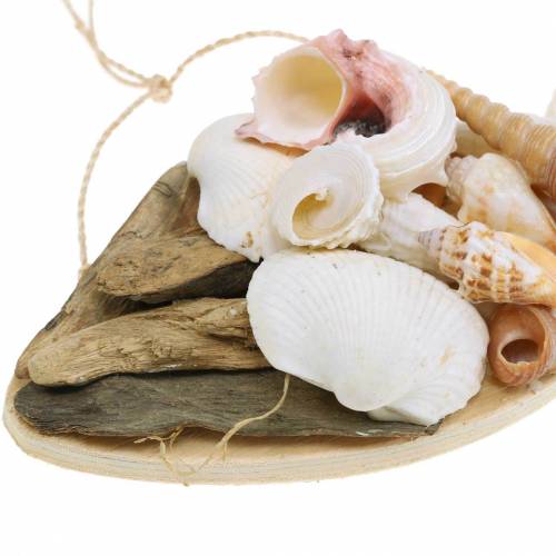 Floristik24 Tengeri dekoráció lógó halakhoz kagylófával 18cm