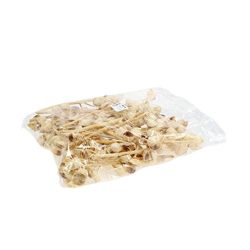 tételeket Hakea közepes ágonként 5-9 fej fehérítve 25 db