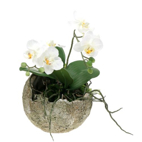 Floristik24 Betonlabda ültetéshez Ø15cm H13,5cm