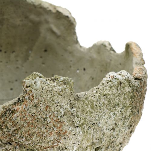 Floristik24 Betonlabda ültetéshez Ø17cm H17,5cm