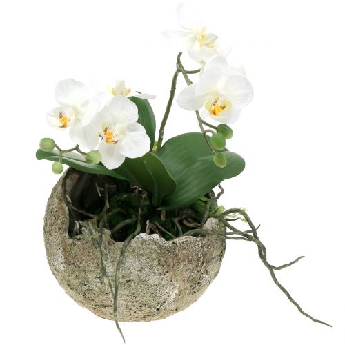 Floristik24 Betonlabda ültetéshez Ø17cm H17,5cm