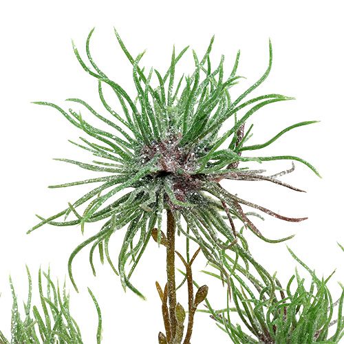 Floristik24 Boszorkánymogyoró ág 44cm zöld, ezüst 1db