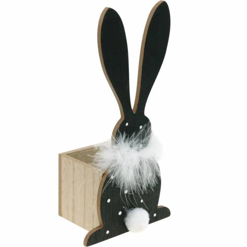 Floristik24 Nyuszi ültető toll Boa fekete, fehér pöttyös fa húsvéti nyuszi
