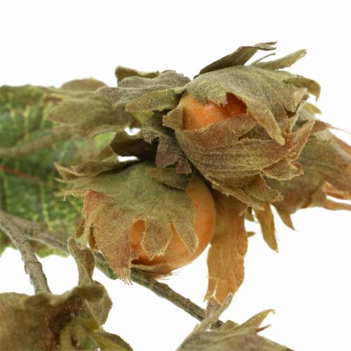 Floristik24 Mogyoró ág zöld / barna 84cm