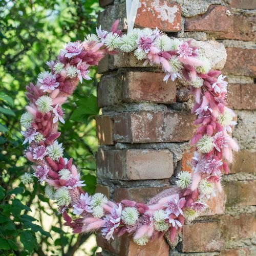 tételeket Nyúlfarkfű Lagurus Szárított Színes 60cm 50g