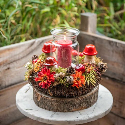 Floristik24 Őszi dekorációs dekorgomba fából Piros fagomba H5-7cm 6 db