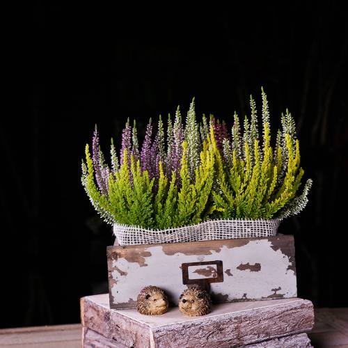 Floristik24 Ültető fa fiók antik szürke 27cm x 13cm