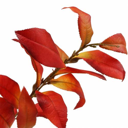 Floristik24 Őszi ág 72cm