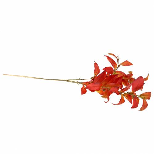 Floristik24 Őszi ág 72cm