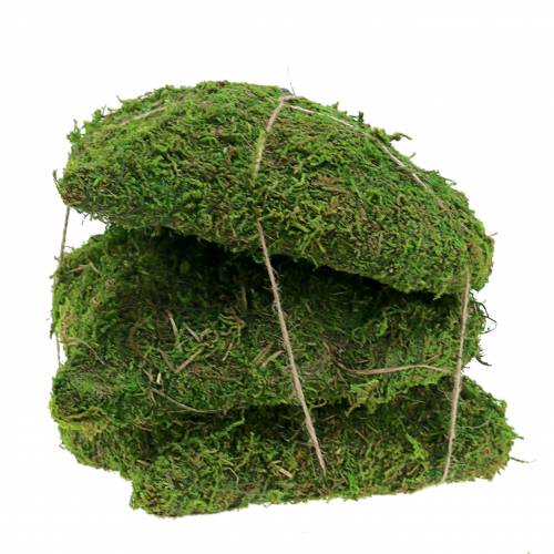 Floristik24 Mohaszív zöld 20cm 3db