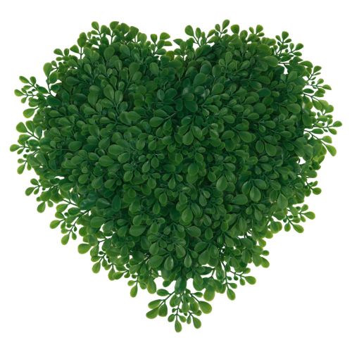 Floristik24 Dekoratív szív puszpáng mesterséges díszszőnyeg zöld 30,5cm