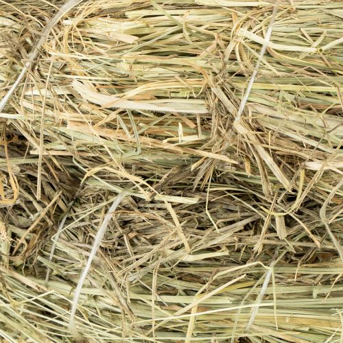 tételeket Széna koszorúk, asztaldísz, természetes anyag, Ø 31-32cm, 5 db-os készlet