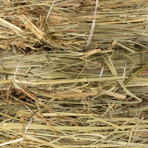 tételeket Széna koszorúk, natúr asztaldísz, ajtókoszorú, 26-27 cm, 5 darab