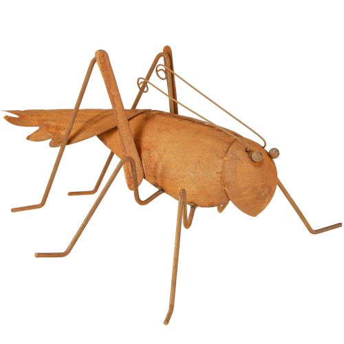 Floristik24 Szöcske Kerti dekoráció Rozsda fém dekoráció állóhoz 26cm