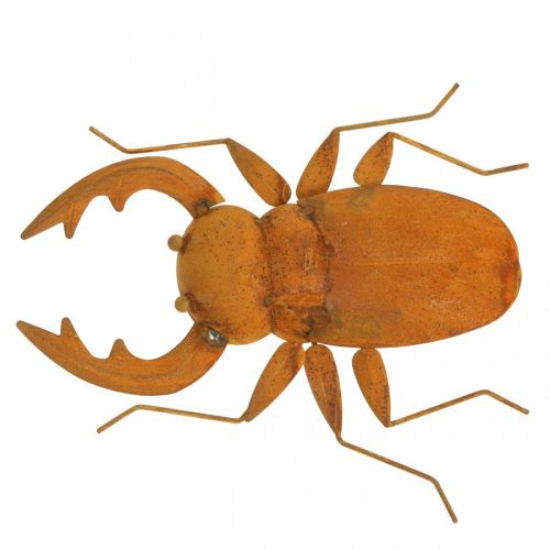 Floristik24 Szarvasbogár, kerti figura, fém dekoráció patinából L25cm