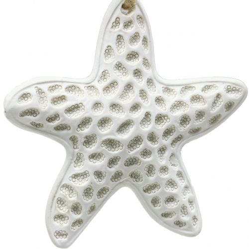 tételeket Deco fogas tengeri csillag, csikóhal 12cm 3db