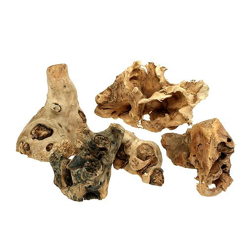 Természetes fagyökerek 8cm - 10cm 500g